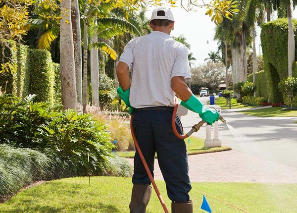 About Rembert SC Pest Control Pros